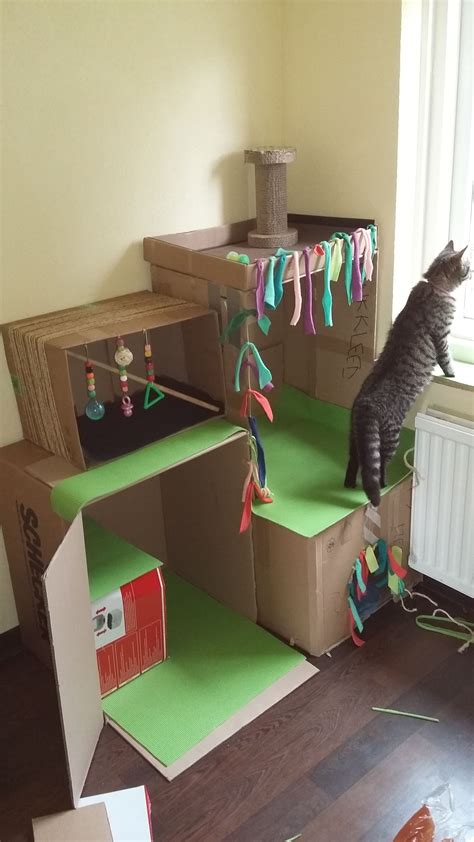 Find and save ideas about Homemade cat toys on Pinterest. | See more ...