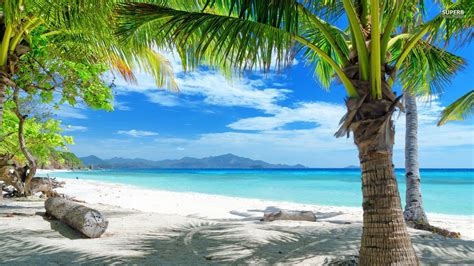 Tropical Beach Scenes Wallpapers - Top Free Tropical Beach Scenes Backgrounds - WallpaperAccess