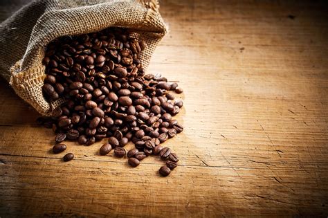 Keep It Simple, Stupid: A Robusta Coffee Bean Breakdown