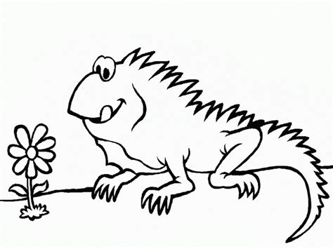 Free Printable Iguana Coloring Pages For Kids