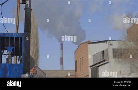 Plant pollution Stock Videos & Footage - HD and 4K Video Clips - Alamy