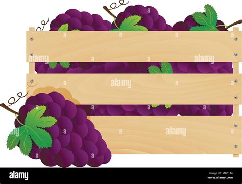 White berry crate Stock Vector Images - Alamy