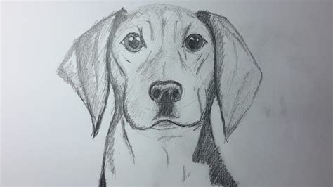 Dibujos a lápiz de Perros - Dibujos a Lápiz