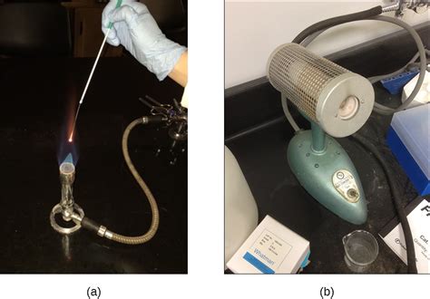 Using Physical Methods to Control Microorganisms | Microbiology