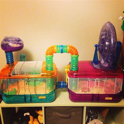 Now that's a hamster cage! | Hamster bin cage, Pet mice, Hamster house