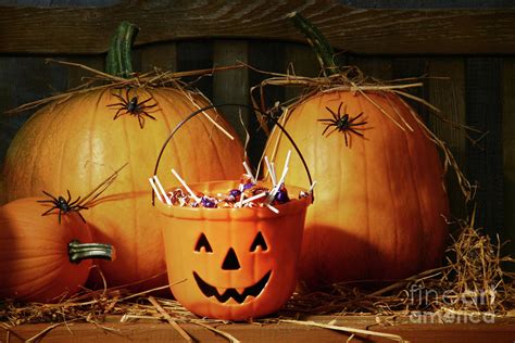 Bucket filled with halloween candy Photograph by Sandra Cunningham - Fine Art America