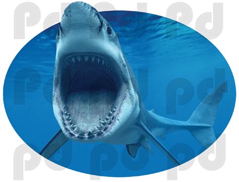 Shark Wall Mural Decal - Oceans Wall Decal Murals - Primedecals