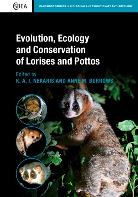 Evolution, Ecology and Conservation of Lorises and Pottos | NHBS Academic & Professional Books