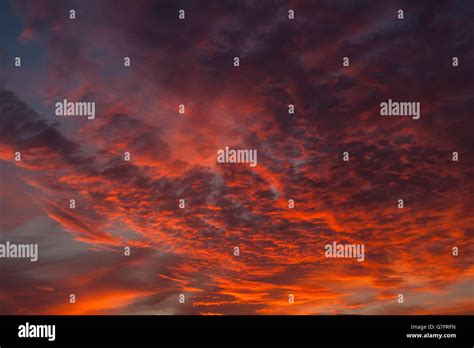 Cirrocumulus clouds at sunset with spectacular light and color Stock Photo - Alamy