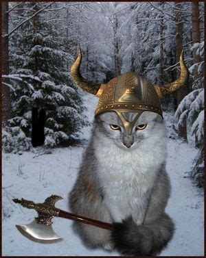 HOW VIKING CATS OF YESTERYEARS DIFFERED FROM TODAY’S CATS? | Norwegian forest cat, Norse goddess ...