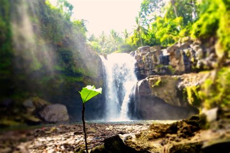 Tegenungan Waterfall - Bali Natures Places to Visit | Bali Star Island