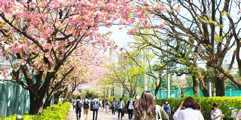 Gakushuin University