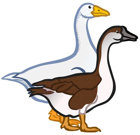 Goose clipart flew, Goose flew Transparent FREE for download on WebStockReview 2022