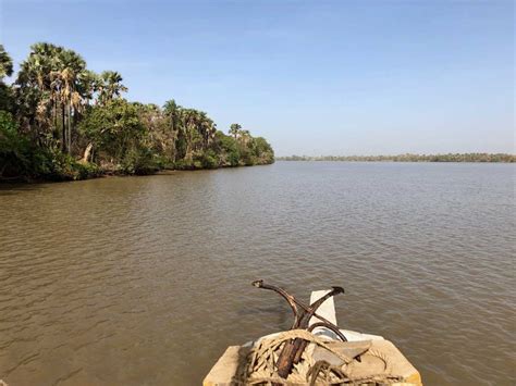 Taking a River Gambia tour: the ultimate Gambian experience