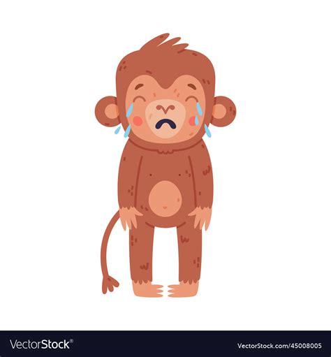 Baby Monkey Crying