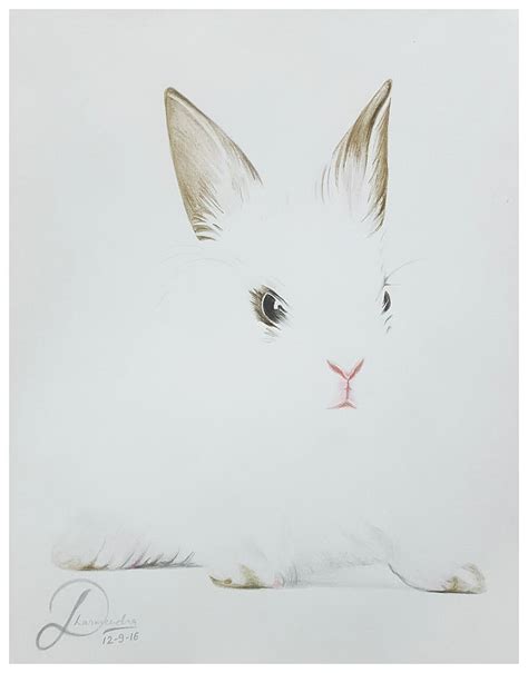 How To Draw A Realistic Bunny