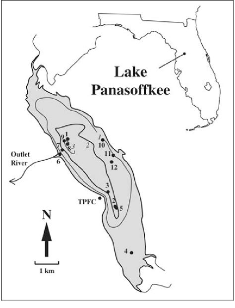 Map of Lake Panasoffkee showing sampling locations . Cores were taken ...