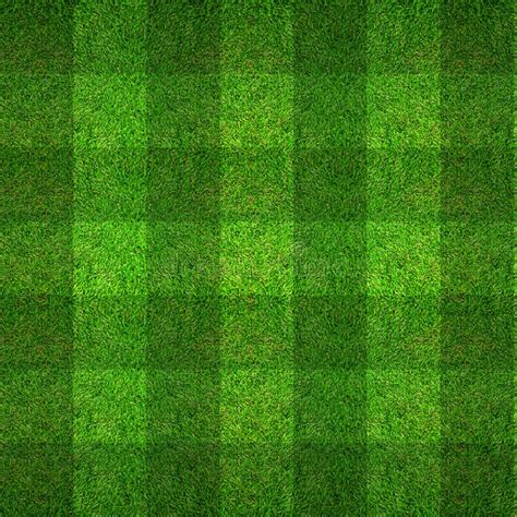 Soccer Grass Texture