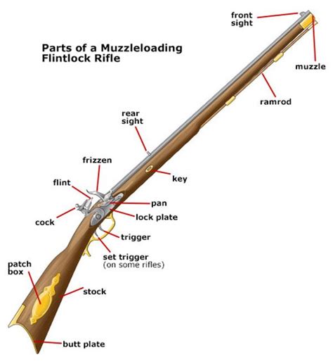 Bolt-action Rifle Parts Diagram