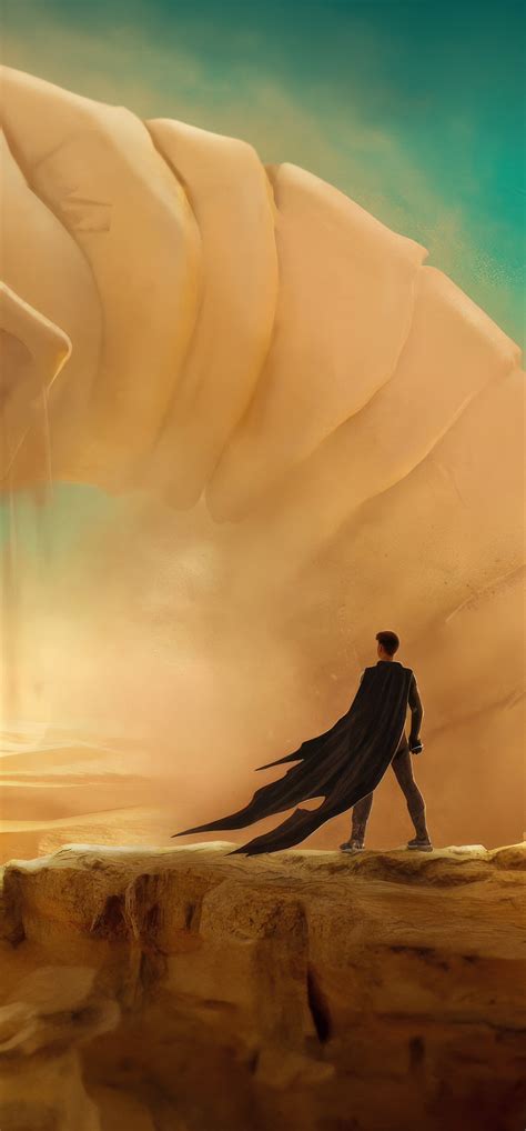 1242x2668 Dune Movie Fanart Iphone XS MAX ,HD 4k Wallpapers,Images ...