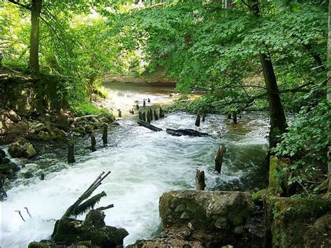 Drawa National Park - ITS Poland