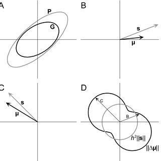 Shape variation in the Drosophila melanogaster wing and the ...