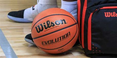 ? Wilson Evolution Indoor Basketball Review