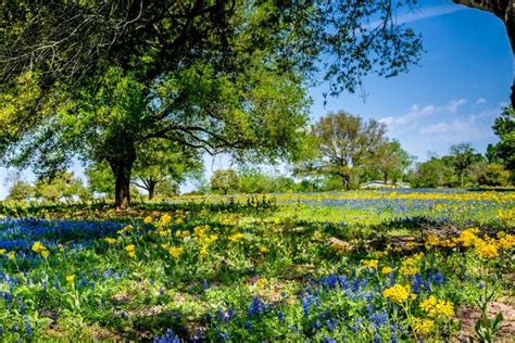 Texas landscape Stock Photos, Royalty Free Texas landscape Images | Depositphotos®