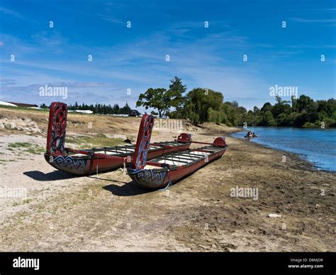 dh Waikato River NGARUAWAHIA NEW ZEALAND Maori waka racing canoes ...