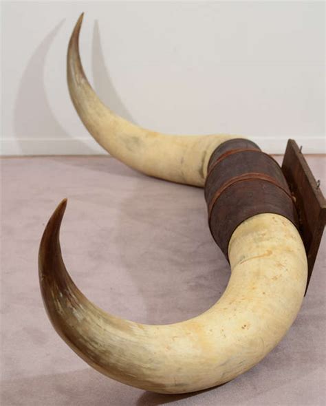 Pair of Vintage Ox Horns with Tooled Leather Mounting at 1stDibs | ox ...