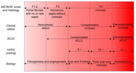 JCM | Free Full-Text | Serum Biomarkers of Liver Fibrosis Staging in ...