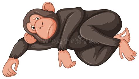 Sad Monkey on White Background Stock Vector - Illustration of ...