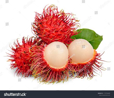 54,867 Rambutan Images, Stock Photos, 3D objects, & Vectors | Shutterstock