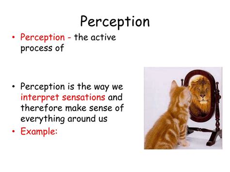 PPT - Sensation and Perception PowerPoint Presentation, free download - ID:5609347