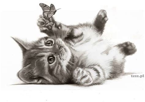 Realistic Kitten Drawing at GetDrawings | Free download