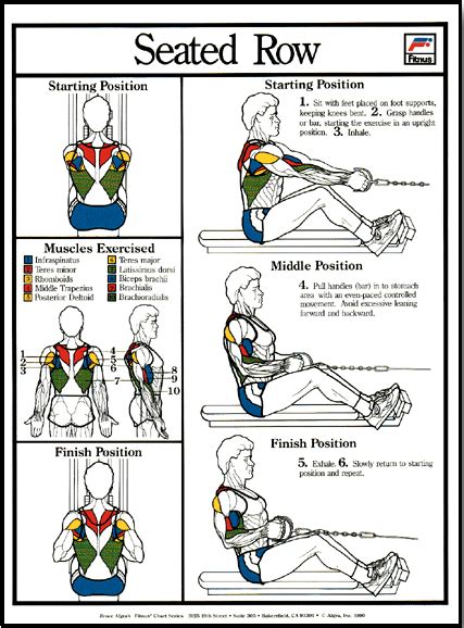 Seated Row Exercise Machine Poster - Clinical Charts and Supplies