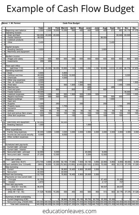 What is Cash Flow Budgeting? A Comprehensive Review (PDF) - EDUCATIONLEAVES