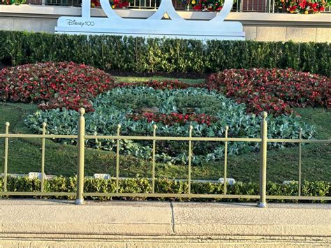 PHOTOS: First Christmas Decorations Arrive at Magic Kingdom for 2023 ...