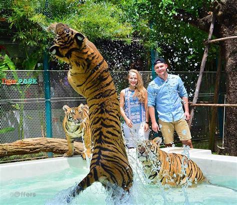 Tiger PARK Phuket, Special Price | we-offers.com