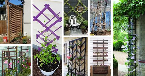 24 Best DIY Garden Trellis Projects (Ideas and Designs) for 2024