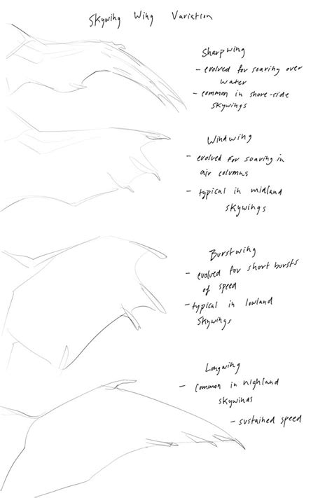 Aphoniaa Sketches in 2024 | Wings of fire, Beloved book, Drawing tips