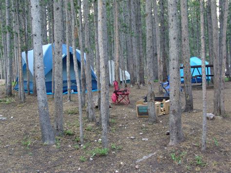 Canyon Campground | Yellowstone National Park Lodges