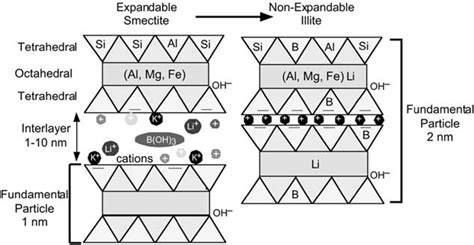 Schematic cross-section of smectite (left) and illite (right) showing ...