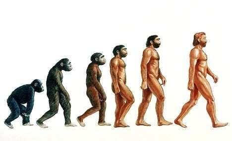 evolution of man famous drawing - Google Search | Theory of evolution, Evolution, Darwin's ...