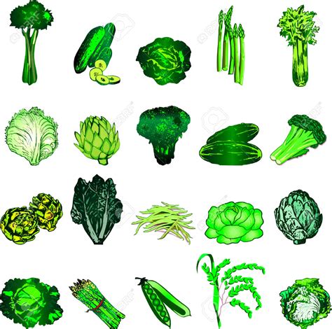 Leafy vegetables clipart - Clipground