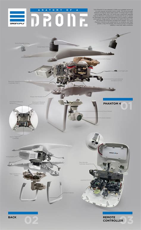 The Interior Life of a Drone Explained via Infographic | The Drive | Drone design, Diy drone ...