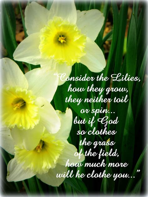 Consider the lilies | Thank you lord, Me quotes, Words