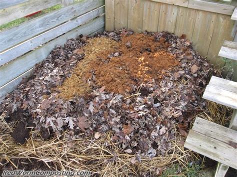 Winter Cat Litter Composting Bed | Red Worm Composting