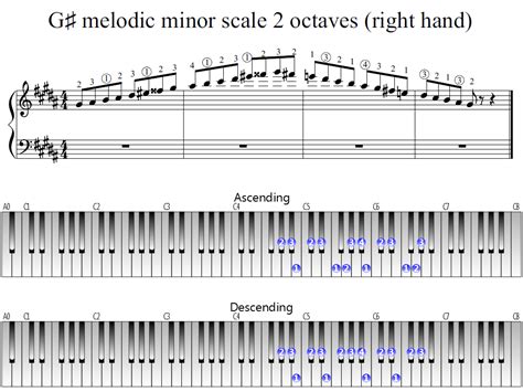 G-sharp melodic minor scale 2 octaves (right hand) | Piano Fingering ...