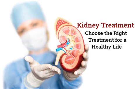 Kidney Treatment – Choose the Right Treatment for a Healthy Life | Kundan Kidney Care Centre